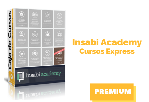 En este momento estás viendo Insaby Academy – Cursos Express