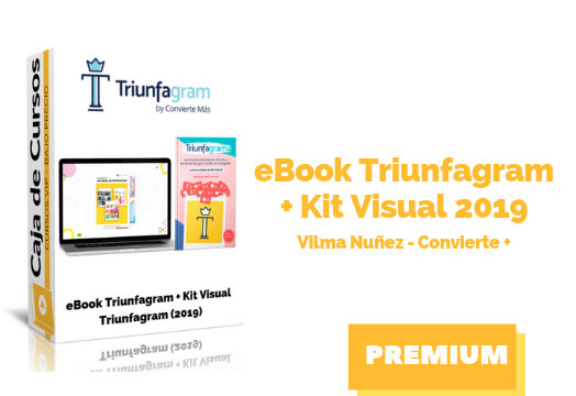 En este momento estás viendo Libro + Kit Visual Triunfagram 2019