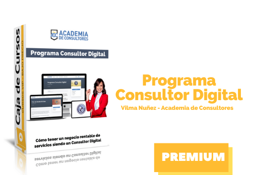 Programa Consultor Digital