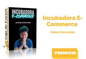 Lee más sobre el artículo Curso Incubadora E-Commerce de Fabian Hernandez