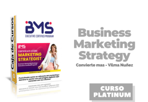 Lee más sobre el artículo Business Marketing Strategy – Vilma Nuñez