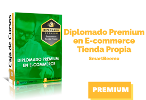 Lee más sobre el artículo Diplomado Premium en E-commerce Tienda Propia De SmartBeemo